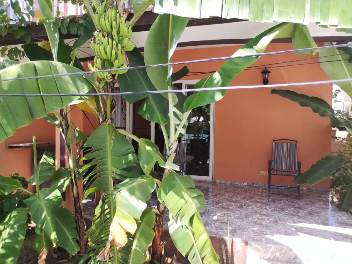 Villa Harmonie تراوْ أوكس بيتْشيز المظهر الخارجي الصورة